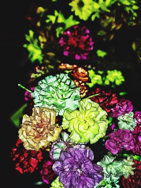 Foto close-up van bloemen