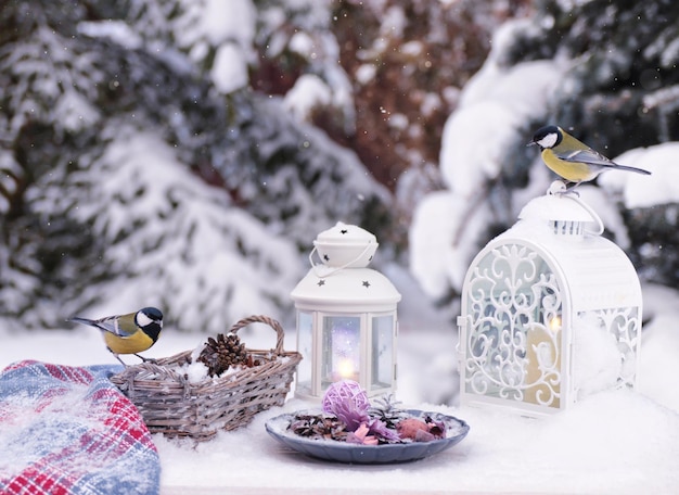 Foto close-up van bluetits die op een lantaarn zitten en een wicker mand op tafel