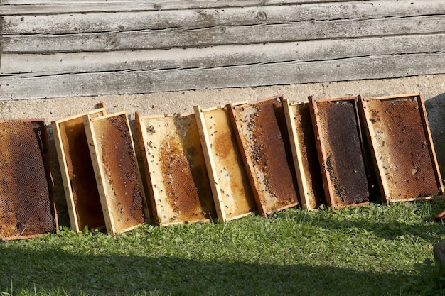 Foto close-up van boeken op het veld