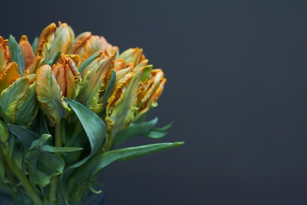 Close-up van boeket van gele ongeblazen tulpen in een glazen vaas