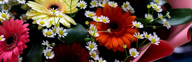 Close-up van boeket van verschillende zomerbloemen als backgroundBeautiful daisy achtergrond Kleurrijke gerbera bloemen