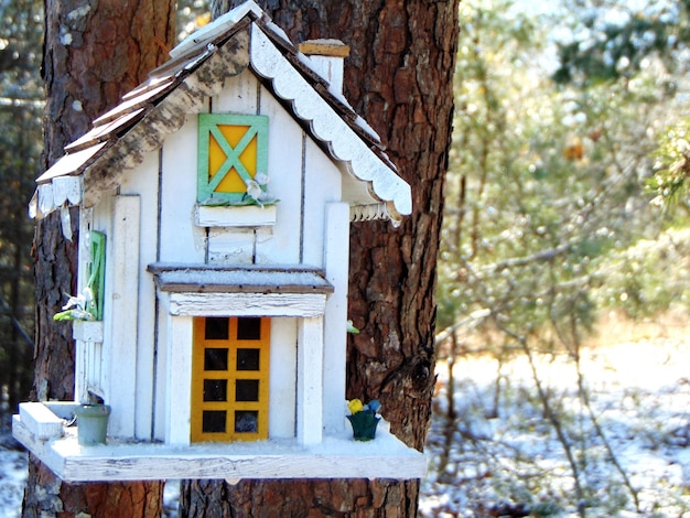 Foto close-up van boom met huis in de winter