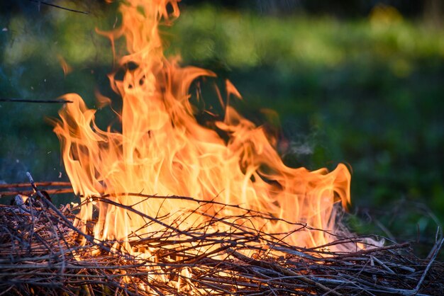 Close-up van brandende droge takken