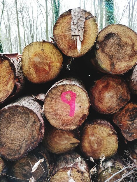 Close-up van brandhout gestapeld tegen kale bomen tijdens de winter
