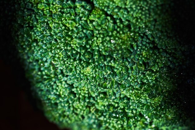 Foto close-up van broccoli