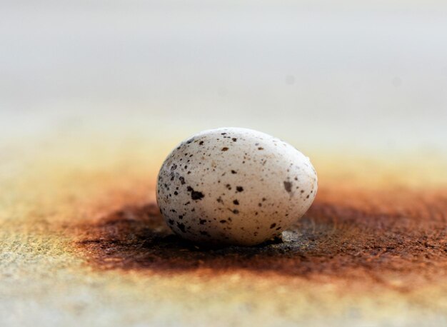 Foto close-up van brood op tafel