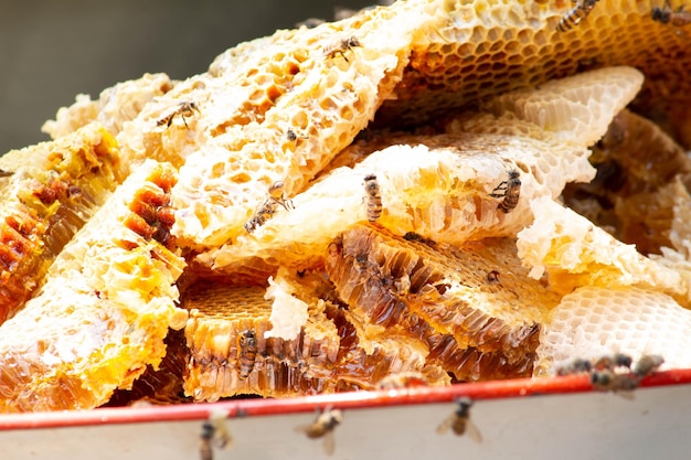 Foto close-up van brood op tafel