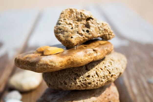Close-up van brood