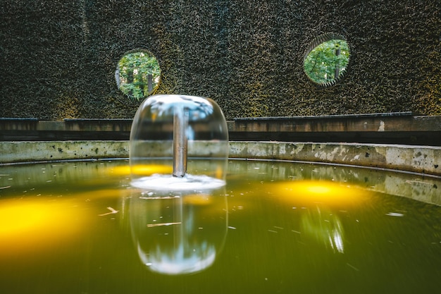 Foto close-up van bubbels in water