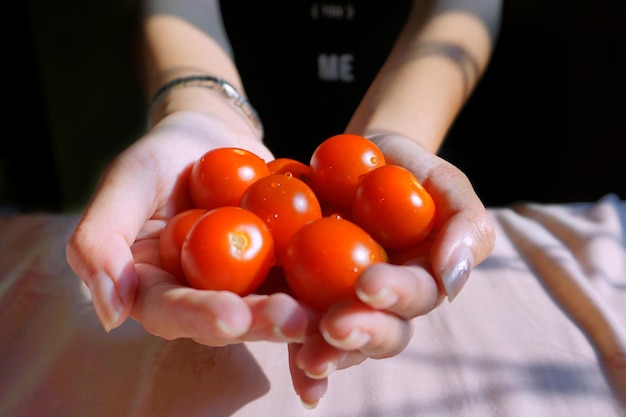 Close-up van cherry tomaten in de hand
