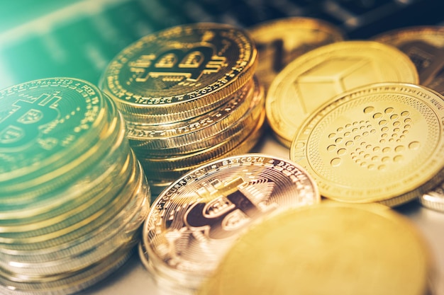 Close-up van cryptomunten