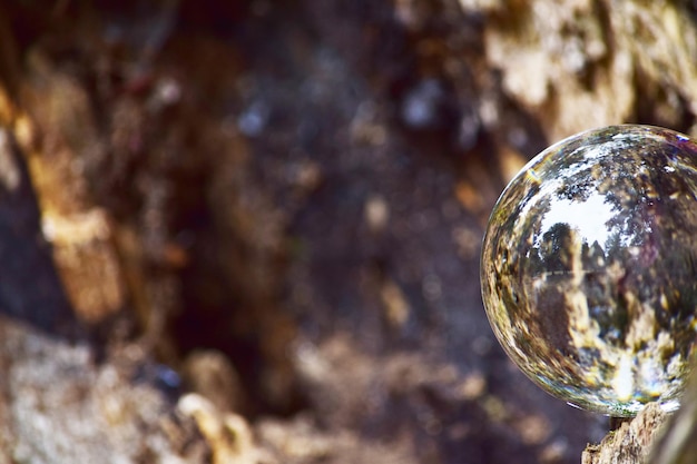 Foto close-up van de fabriek tegen een wazige achtergrond