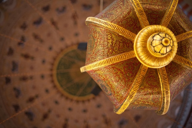 Foto close-up van de fabriek tegen een wazige achtergrond