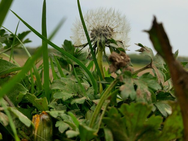 Foto close-up van de fabriek