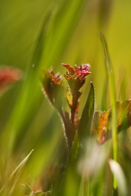 Close-up van de fabriek