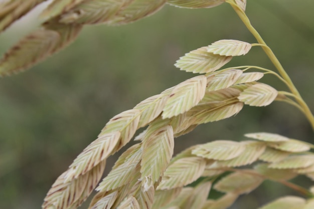 Close-up van de fabriek