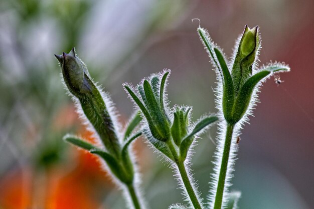 Close-up van de fabriek