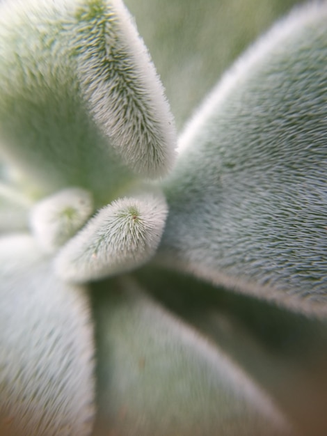 Foto close-up van de fabriek