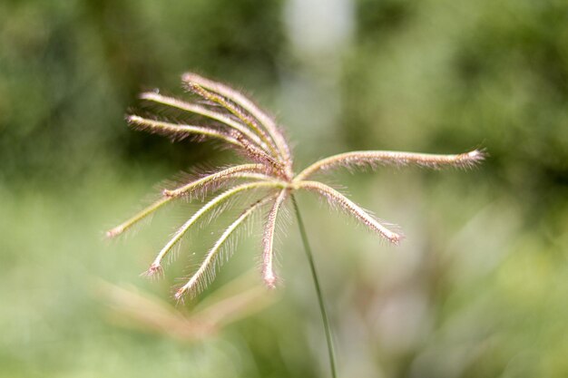 Foto close-up van de fabriek