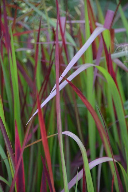 Foto close-up van de fabriek