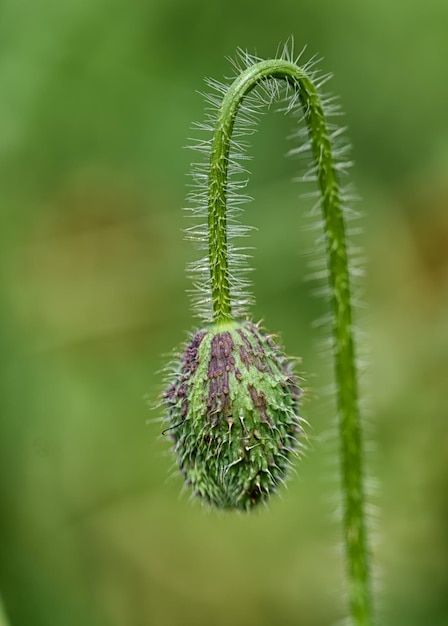 Foto close-up van de fabriek