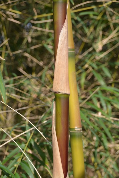 Close-up van de fabriek