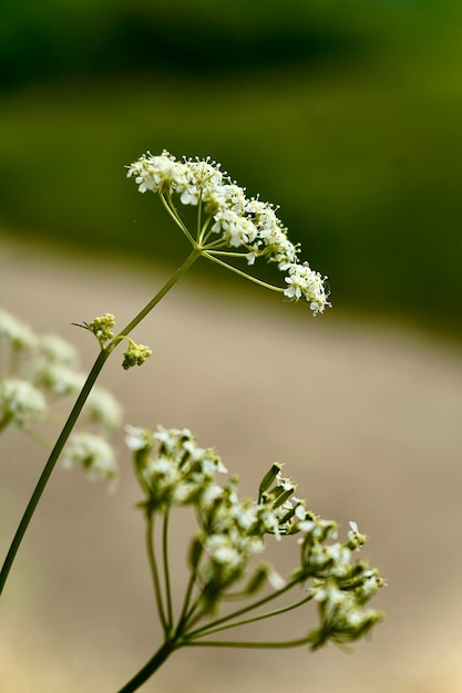Close-up van de fabriek
