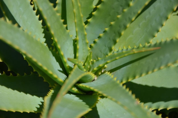 Close-up van de fabriek