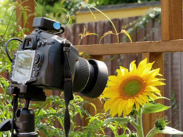 Foto close-up van de gele camera