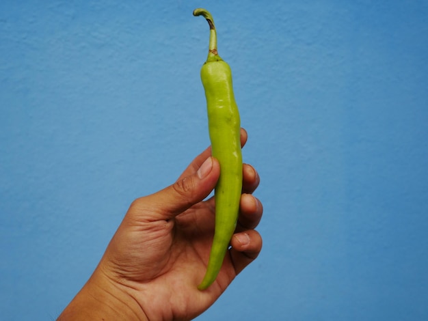 Foto close-up van de hand die chili peper vasthoudt