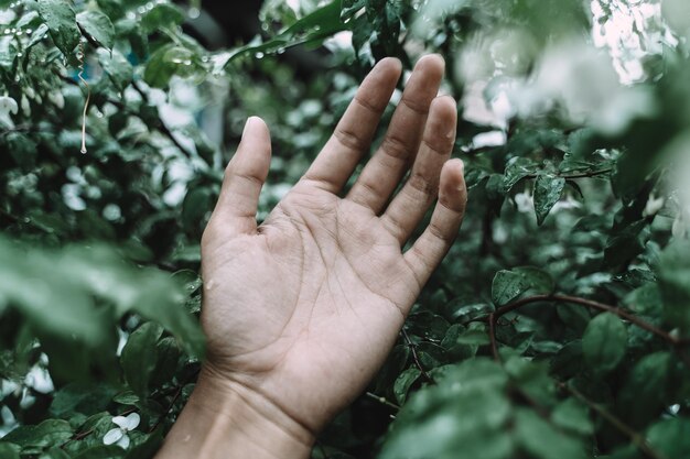 Close-up van de hand tegen planten