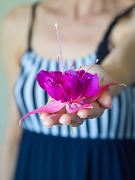 Close-up van de hand van de mooie vrouw met paarse bloem