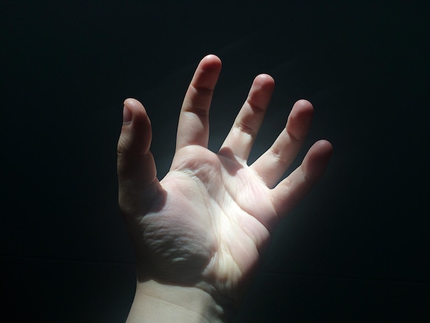 Close-up van de hand van de persoon