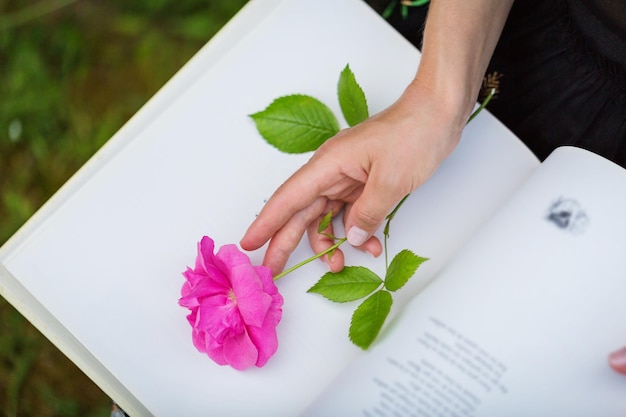 Close-up van de hand van een vrouw met een roos op een boek in het park