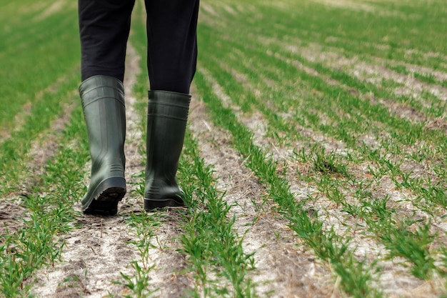 Close-up van de handen van de landbouwer, schoffel en veld in het voorjaar