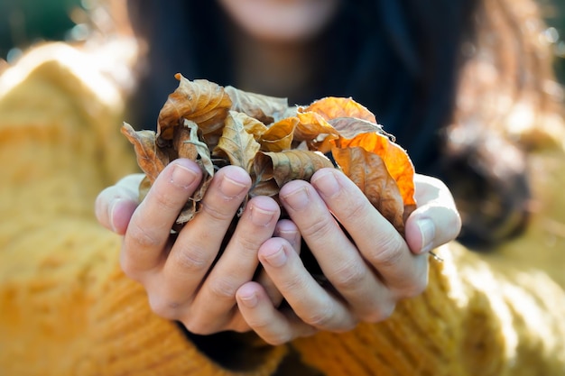 Close-up van de handen van een vrouw met herfstbladeren in de richting van de camera