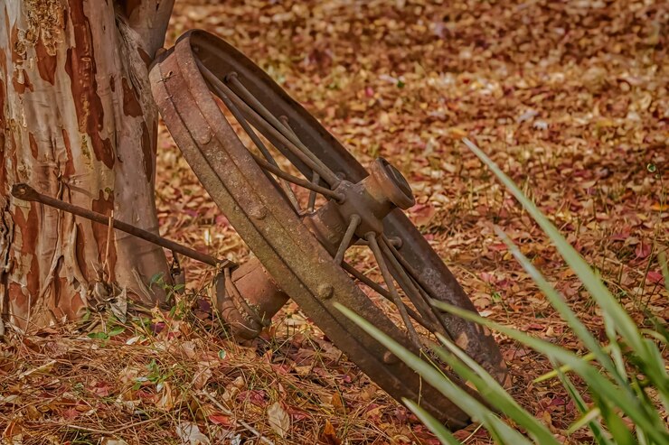 Foto close-up van de herfstbladeren op het veld