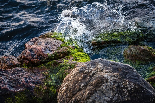 Close-up van de kust