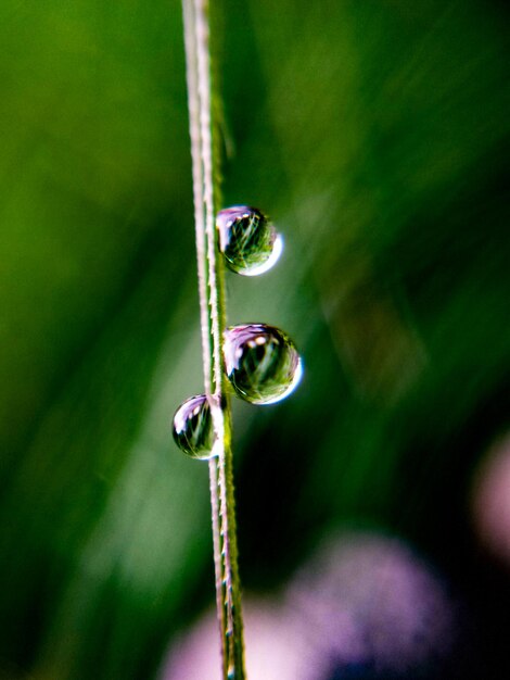 Close-up van de natte installatie