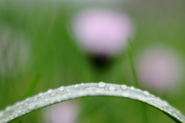 Foto close-up van de natte installatie