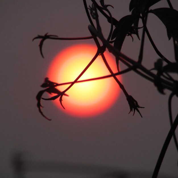 Foto close-up van de oranje zon