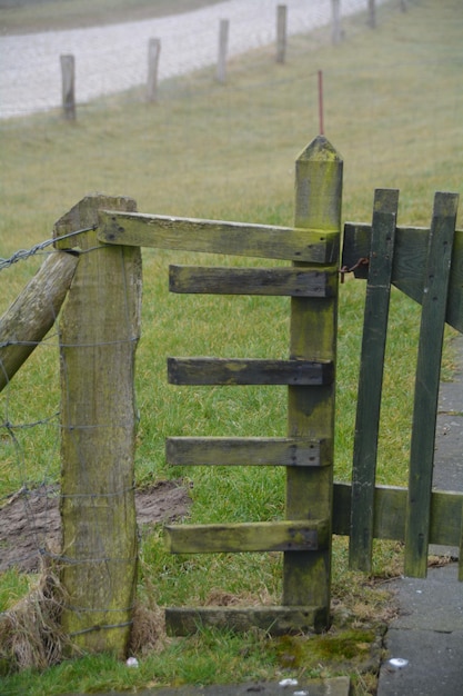 Foto close-up van de poort op het grasveld