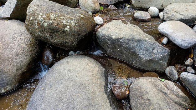 Close-up van de rivier die tussen de rotsen stroomt Een koude rivier met helder water stroomt in een rotsachtig gebied