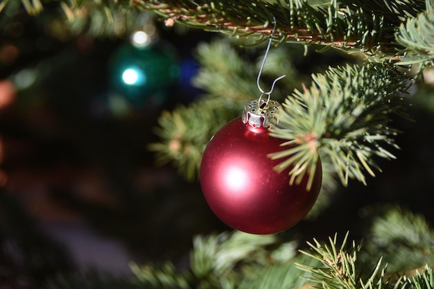 Close-up van de rode kerstboom