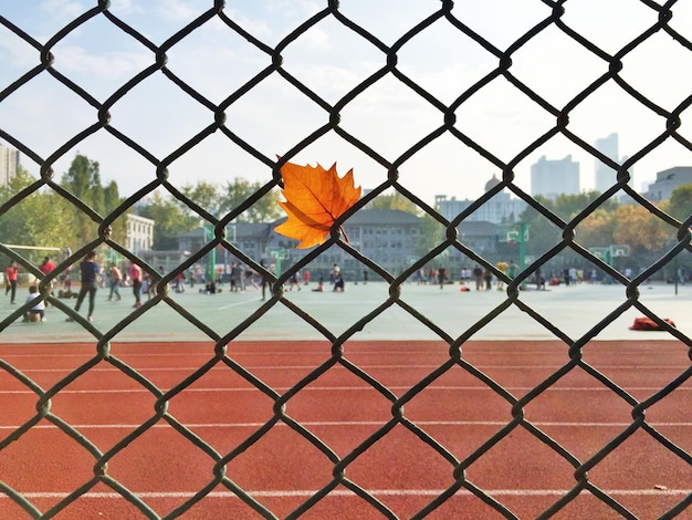 Foto close-up van de stad, gezien door een hek