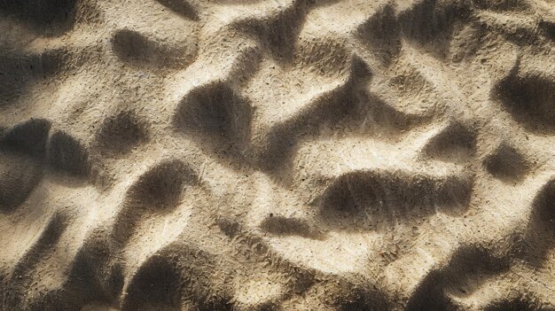 Close-up van de textuur van de zonnebloede zandduinen
