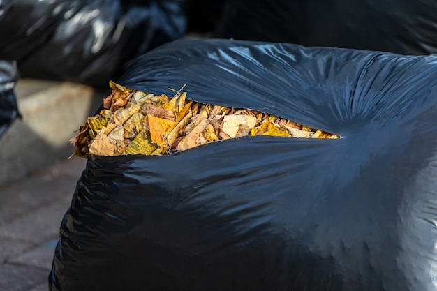 Close-up van de zwarte plastic vuilniszakken in het herfstpark, algemene reiniging. Bladeren en afval in zakken.