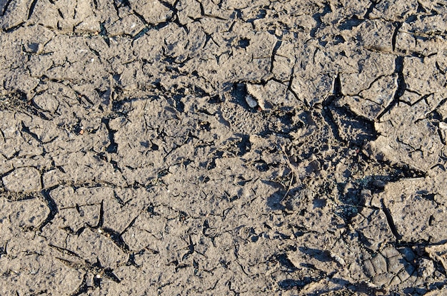 Close-up van droge gebarsten grond voor slechte ecologie op de achtergrond