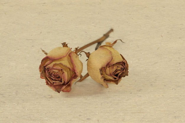 Foto close-up van droge rozen op tafel