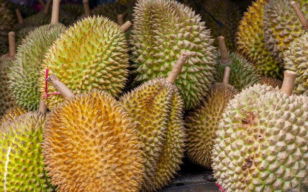 Close up van Durian vruchten (Durio zibethinus)